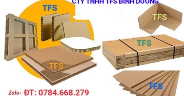 Giấy tổ ong - Giấy Tổ Ong TFS - Công Ty TNHH Sản Xuất Thương Mại Dịch Vụ TFS Việt Nam